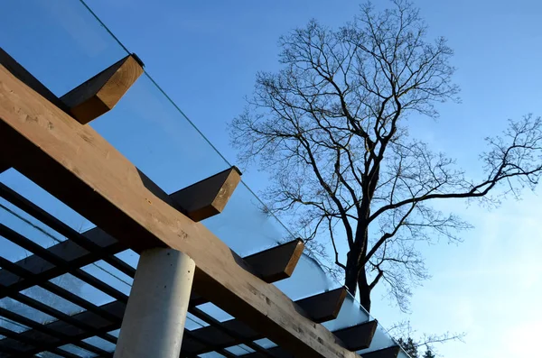 brown glued wooden structure of the pergola supported by smooth cylindrical white columns shelter of a gazebo pergola. the roof is made of slats and glass panes, tree top, kvh, maple bare tree