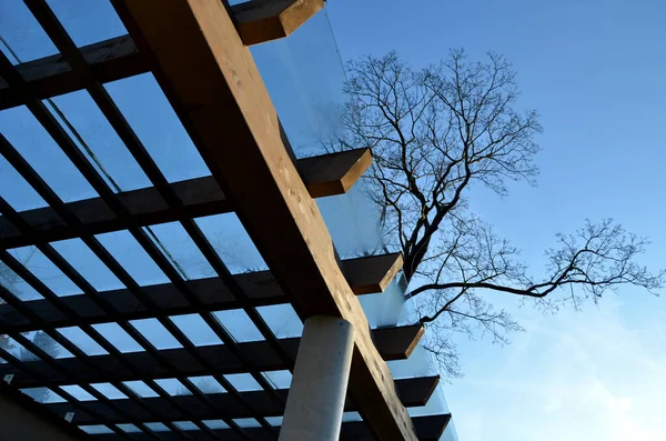 brown glued wooden structure of the pergola supported by smooth cylindrical white columns shelter of a gazebo pergola. the roof is made of slats and glass panes, tree top, kvh, maple bare tree