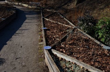 Büyüyen alanların çapraz bölünmüş bitkisel yatakları. Botanik türlerini eğitmek için profesyonel bir bahçıvanlık okulunun gösteri ve eğitim yatakları. Paslanmaz çelik eklemler. otururken