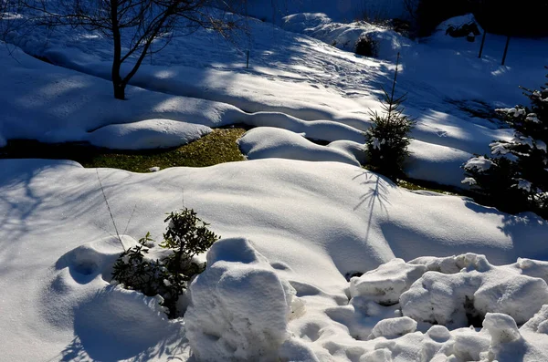 Grandi Strati Neve Coprivano Giardini Neve Scioglie Solo Nel Luogo — Foto Stock