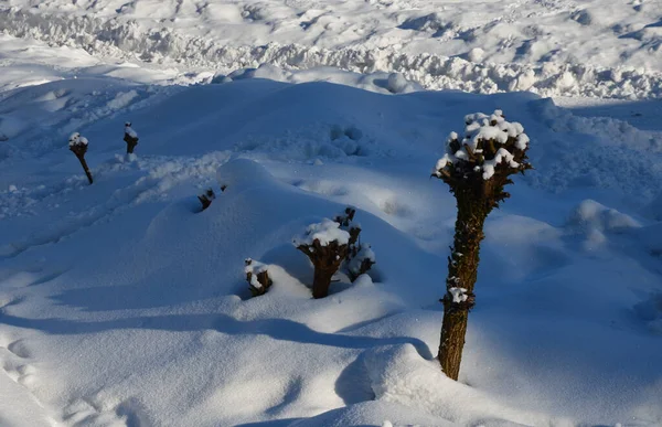 Fűzfaágak Készülnek Díszítésként Húsvéti Ünnepekre Fonott Farm Sárga Narancssárga Színe — Stock Fotó