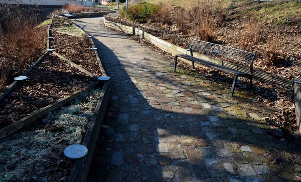 Büyüyen alanların çapraz bölünmüş bitkisel yatakları. Botanik türlerini eğitmek için profesyonel bir bahçıvanlık okulunun gösteri ve eğitim yatakları. Paslanmaz çelik eklemler. otururken