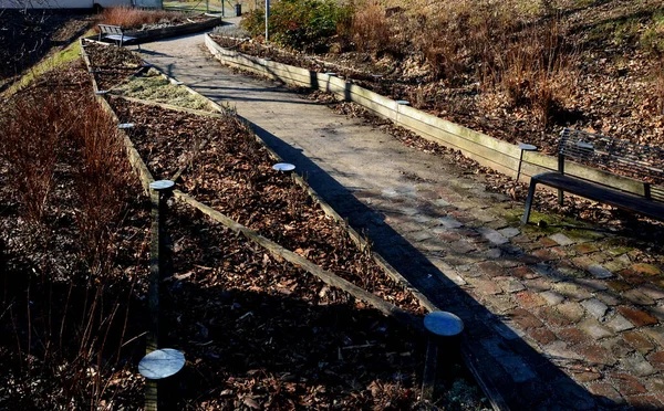 Büyüyen alanların çapraz bölünmüş bitkisel yatakları. Botanik türlerini eğitmek için profesyonel bir bahçıvanlık okulunun gösteri ve eğitim yatakları. Paslanmaz çelik eklemler. otururken