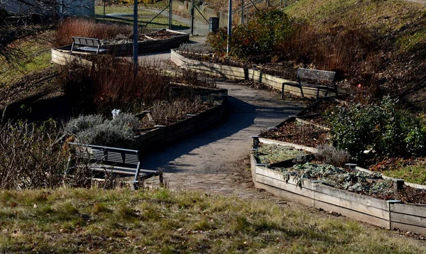 Büyüyen alanların çapraz bölünmüş bitkisel yatakları. Botanik türlerini eğitmek için profesyonel bir bahçıvanlık okulunun gösteri ve eğitim yatakları. Paslanmaz çelik eklemler. otururken