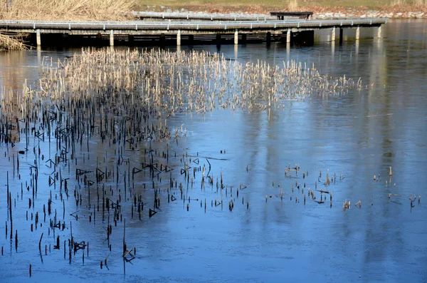 Tahta kalaslardan, rıhtımdan, göl suyunun dibine kadar uzanan cambaz ayaklıklarının üzerindeki dar kıvrımlı patikalardan oluşan yüzen yürüyüş yolu. Korkulukları yok. Tekerlekli sandalyeler için daha çok korkuluklu kaldırım