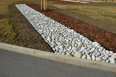 Sokak hattı, büyük beyaz çakıl taşlarıyla süslenmiş dikdörtgen bir şeride dikilmiş. Malç kabuğundan daha net ve daha resmi görünüyor. Çimenli, plastik kaldırımlı bir park meydanının temiz temsilcisi