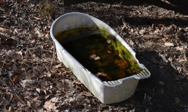Kirli su ve yapraklarla dolu beyaz plastik çocuk banyosu. Terk edilmiş bir köy, nükleer santralin yakınında. Nükleer çağın üzücü mirası. Medeniyet geçmişten öğrenebilir.
