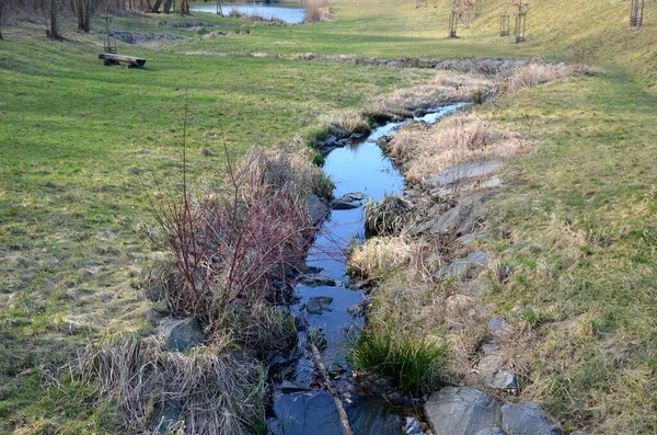 Ruisseau Inondé Conduit Lit Rivière Étroit Eau Draine Rapidement Les — Photo