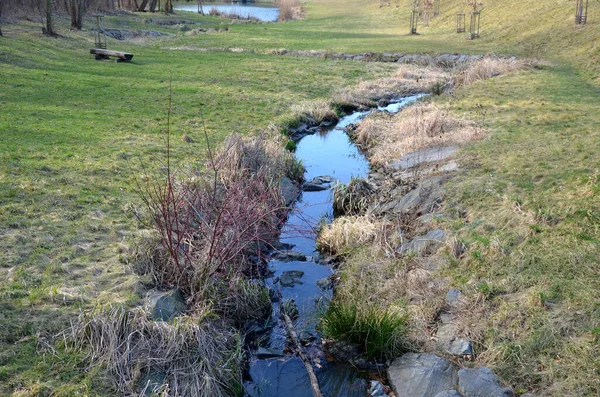 Затоплений Струмок Призвів Вузького Русла Вода Стікає Швидко Вигини Повинні — стокове фото