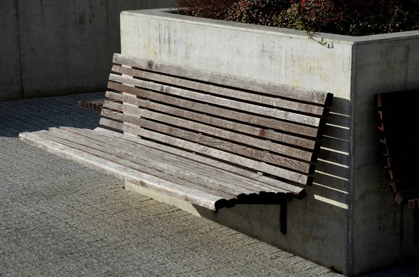 benches at the supporting gray supporting concrete wall in the park. Purple asters bloom above the wall in the flowerbed. wood paneled park bench with metalic black frame. flowerpot