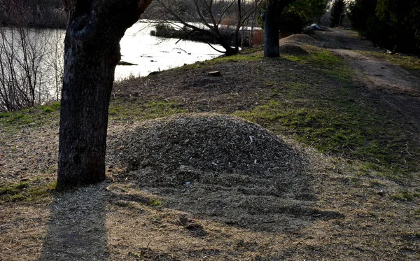 mulch bark. pieces of wood chips to prevent weed growth and weed germination. branch crusher, cleaning of shrubs and invasive species.  grow under the high voltage wire, by the pond, reclamation