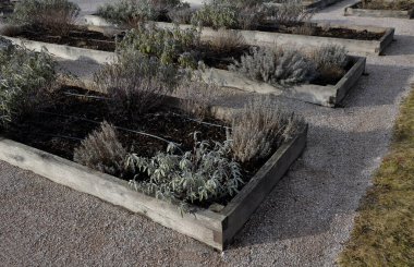 Manastır bahçesindeki şatoda ahşap çerçeveli ot yatakları. Otlarla dolu dikdörtgen çiçek tarhı ve parlak renkli park yolları. Kesilmiş boxwood çitlerini korudum. Eğitim, okul, bahçıvanlık.