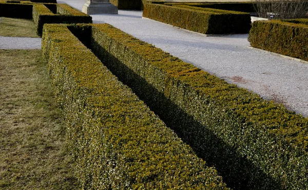 在修道院花园的花坛上 公园的小径上色彩艳丽 用黄杨木树篱把夏宫的小道切割成纵横交错的小道 小道周围点缀着轻柔的砾石 — 图库照片