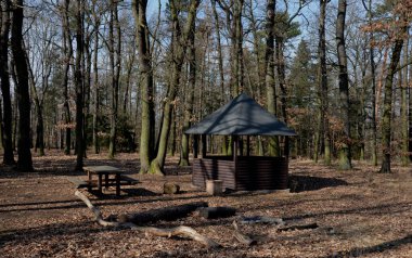 Çokgen pergola ve çevresi çitlerle çevrili. İçeride bir sürü yer var. Çatı, asfalt kiremitlerle kaplı piramitlerden oluşuyor. Doğal park, patika, çakıl, kamp.