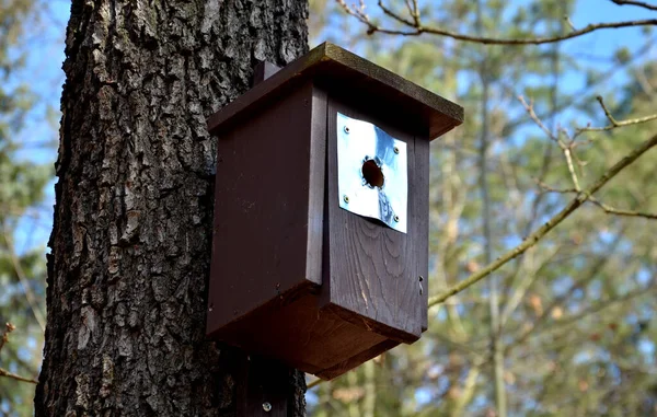 Birdhouse Built Smaller Species Tit Robins Have Smaller Inlet Opening — Stock Fotó