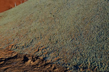 Su ekerek yamaçların dengelenmesi. Tahta hamuru ve yeşil çim tohumu karışımı tanktan çıplak toprağa püskürtülür. Bir kabuk ve tohum filizlendirme, erozyon kontrolü yaratır.