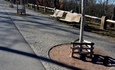 Parkta kaldırım taşı yolu ve yeni katlanmış ahşap panelli kahverengi banklar ile gezinti alanı. Uzun ömürlü süs çiçekleri, çit kirişli çit kiriş çayırları