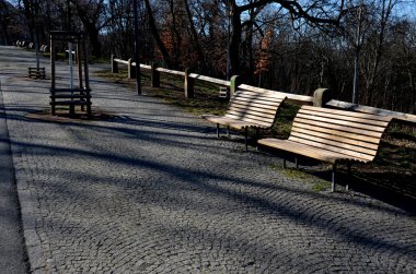 Parkta kaldırım taşı yolu ve yeni katlanmış ahşap panelli kahverengi banklar ile gezinti alanı. Uzun ömürlü süs çiçekleri, çit kirişli çit kiriş çayırları