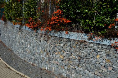 Gabion tel sepetine konmuş turuncu böğürtlenli turuncu dikenli çalılar, kafesler. Doğal endüstriyel görünümüyle ön bahçede çit var. Galvanize metalden yapılmış vinçler