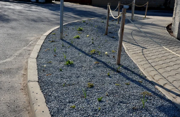 Bir kare granit asfaltın ortasında düzenli bir zemin planı üzerinde süslemeli çiçek yatakları. Kavşağında kuru otlar olan kemer şeklinde çiçek yatakları.