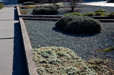 Beton üçgen saksılar. Baharın başında, lavantalı ve kayalık bahçeli gri çakıl taşlarıyla yükseltilmiş çiçek tarlaları. Kasaba meydanı, spa, kaldırım