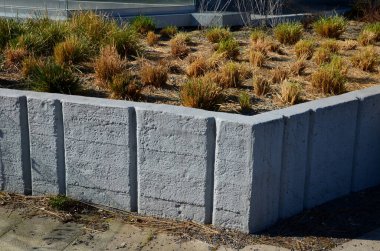 stipa capilata çiçek tarhlı çakıl taşları, beton yükseltilmiş küp kenarları, sıra sıra 6 cm kaldırım yüzeyi gri granit arka plan fayansları, kesme, kırpma, kuru, bahar, esrar
