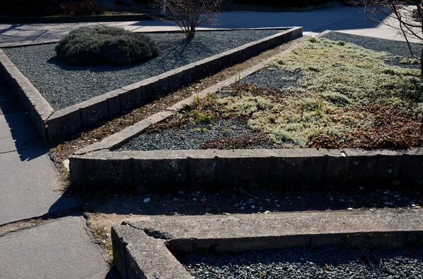 Betonové Trojúhelníkové Květináče Vyvýšená Květinová Záhony Šedým Štěrkem Levandulí Skalnatými — Stock fotografie