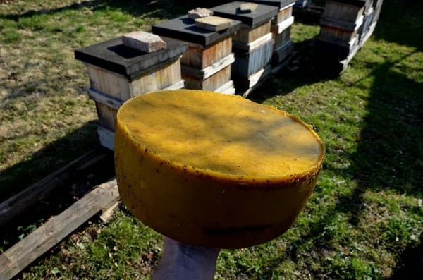 Work Beekeeper Melting Old Dark Wax Combs Full Diseases Stainless — Stock Photo, Image