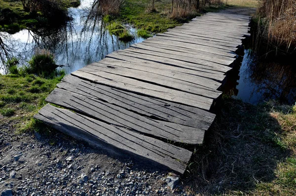 Passerelle Flottante Faite Planches Bois Jetée Sentiers Étroits Incurvés Sur — Photo