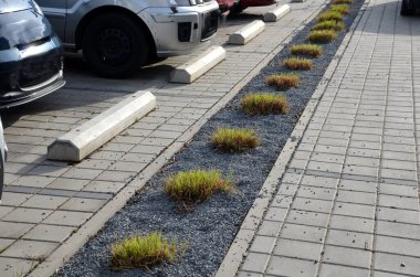 Park yerindeki çiçek tarlasının orada. Süslü otlarla süslenmiş bir patika şeklinde. Araçlar park ederken beton durur. Tekerlek betonun üzerinde duruyor ve onu durduruyor.