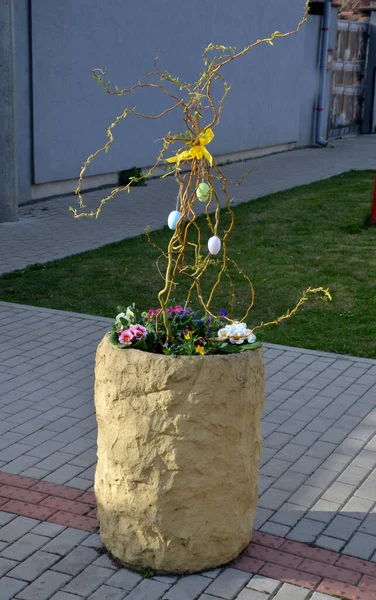 Pots Fleurs Ornementales Sur Centre Village Creux Pots Fleurs Béton — Photo