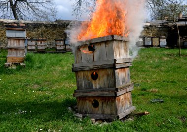 Arı kovanındaki veba salgını sırasında hasta arılarla temas eden tüm kovan ve aletlerin hiygienik bir şekilde yakılması gerekiyor. Sigorta şirketi arı kutuları için ödeme yapacak.