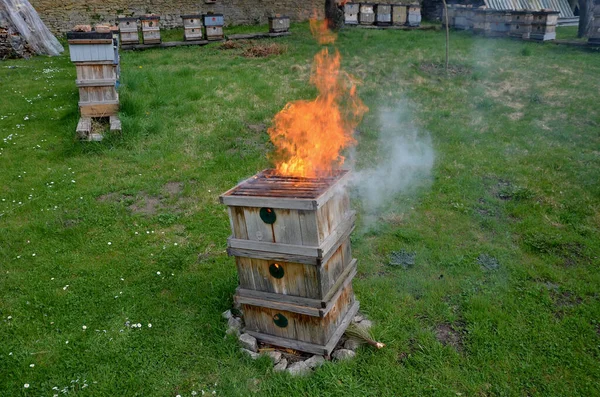 Plague Epidemic Apiary Higienic Burning All Hives Tools Came Contact — Stock Photo, Image