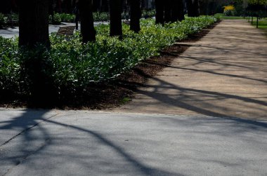 Hafif ahşap kalaslardan yapılmış bir çitin önündeki yeşil bir çalı sokağın opaklığını geliştirecektir. Bahçeyi tozdan, trafikten, çalılıklardan korur.