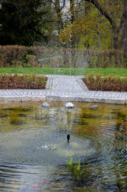 round pond with ornamental koi carp fish. has an area planted with roses. in the middle is a fountain. paving around cobblestones. alley with trees in the background