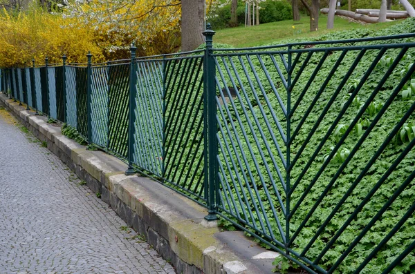 Täcka Perenner Den Gamla Trädgården Täcka Ytan Lutningen Mot Erosion — Stockfoto