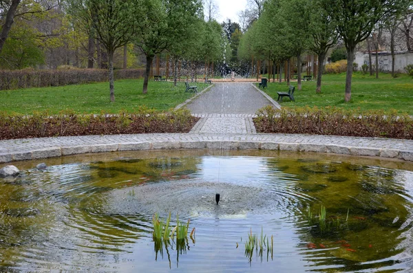 Pond Ornamental Koi Carp Fish Has Area Planted Roses Middle — Stock fotografie