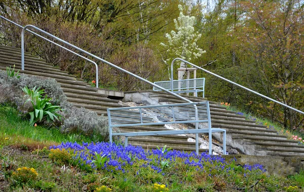 Stairs Waterfall Stones Boulders Artificial Stream Waterfall Stairs Lawns Flower — 스톡 사진