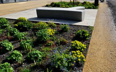 in the square stands a gray, white bench made of artificial stone. Pouring concrete in the shape of T or Y. Perennial beds blooming yellow in the morning sun. clipart