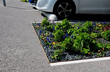Park yerindeki çiçek tarlasının orada. Süslü otlarla süslenmiş bir patika şeklinde. Araçlar park ederken beton durur. Tekerlek betonun üzerinde duruyor ve onu durduruyor.