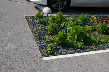 Park yerindeki çiçek tarlasının orada. Süslü otlarla süslenmiş bir patika şeklinde. Araçlar park ederken beton durur. Tekerlek betonun üzerinde duruyor ve onu durduruyor.