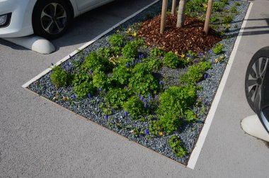 Park yerindeki çiçek tarlasının orada. Süslü otlarla süslenmiş bir patika şeklinde. Araçlar park ederken beton durur. Tekerlek betonun üzerinde duruyor ve onu durduruyor.