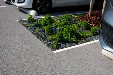 Park yerindeki çiçek tarlasının orada. Süslü otlarla süslenmiş bir patika şeklinde. Araçlar park ederken beton durur. Tekerlek betonun üzerinde duruyor ve onu durduruyor.