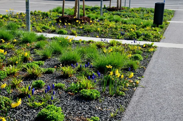 Park yerindeki çiçek tarlasının orada. Süslü otlarla süslenmiş bir patika şeklinde. Araçlar park ederken beton durur. Tekerlek betonun üzerinde duruyor ve onu durduruyor.