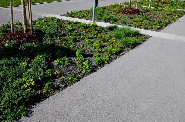 Park yerindeki çiçek tarlasının orada. Süslü otlarla süslenmiş bir patika şeklinde. Araçlar park ederken beton durur. Tekerlek betonun üzerinde duruyor ve onu durduruyor.