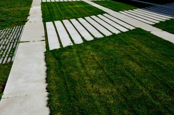 Path Grassy Meadow Garden Tiles Stripes Tile Pattern Concrete White —  Fotos de Stock