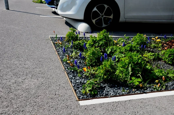 Park yerindeki çiçek tarlasının orada. Süslü otlarla süslenmiş bir patika şeklinde. Araçlar park ederken beton durur. Tekerlek betonun üzerinde duruyor ve onu durduruyor.