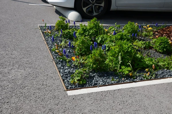 Park yerindeki çiçek tarlasının orada. Süslü otlarla süslenmiş bir patika şeklinde. Araçlar park ederken beton durur. Tekerlek betonun üzerinde duruyor ve onu durduruyor.