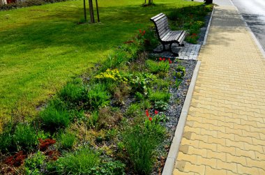 Çiçek yatağı lalelerden ve uzun ömürlülerden oluşuyor. Çimenliğin etrafındaki bej kaldırım boyunca uzanan uzun bir şerit. Şehir sokağı.