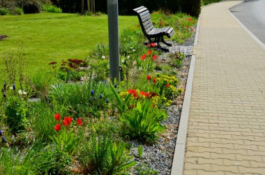 Çiçek yatağı lalelerden ve uzun ömürlülerden oluşuyor. Çimenliğin etrafındaki bej kaldırım boyunca uzanan uzun bir şerit. Şehir sokağı.